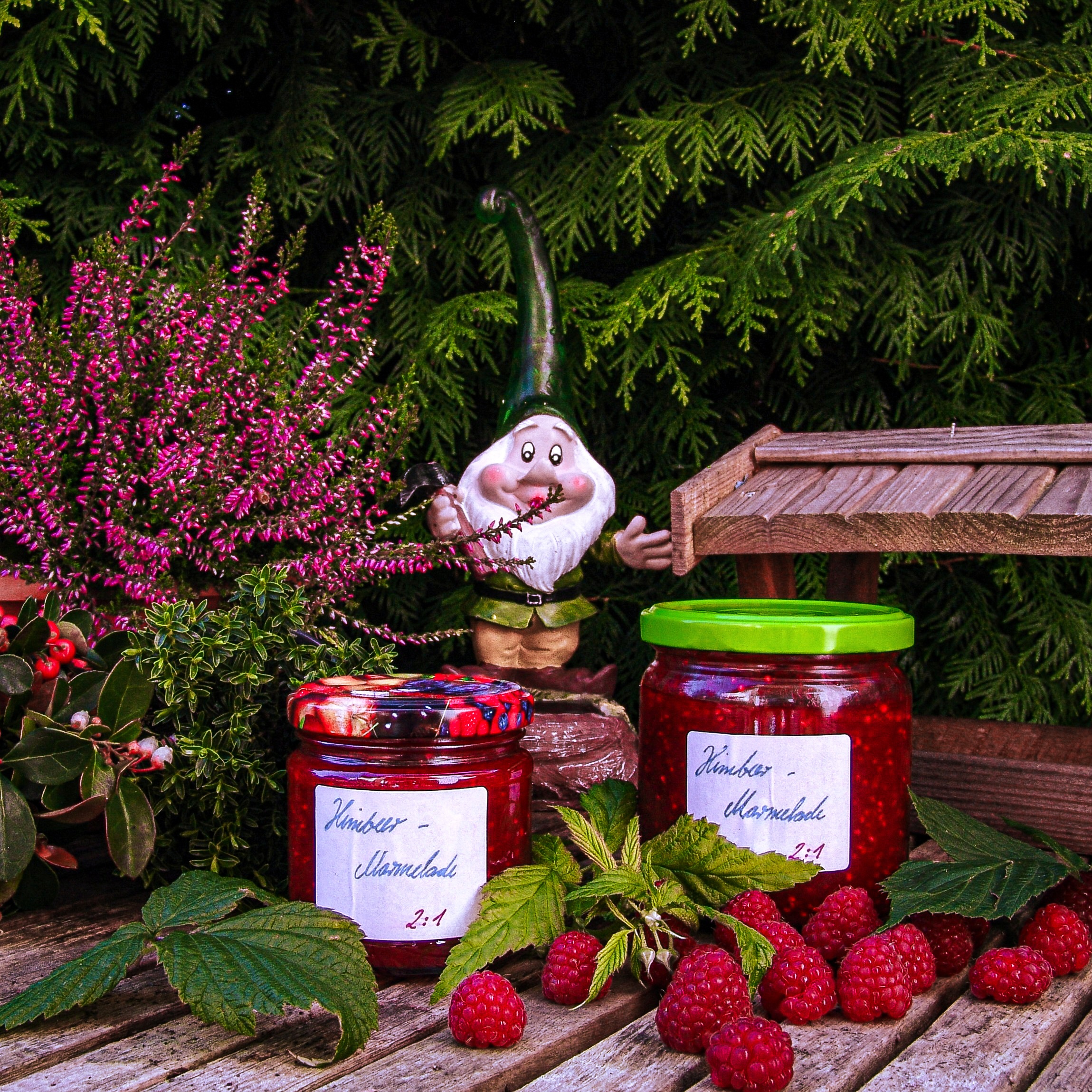 Read more about the article Selfmade Himbeermarmelade