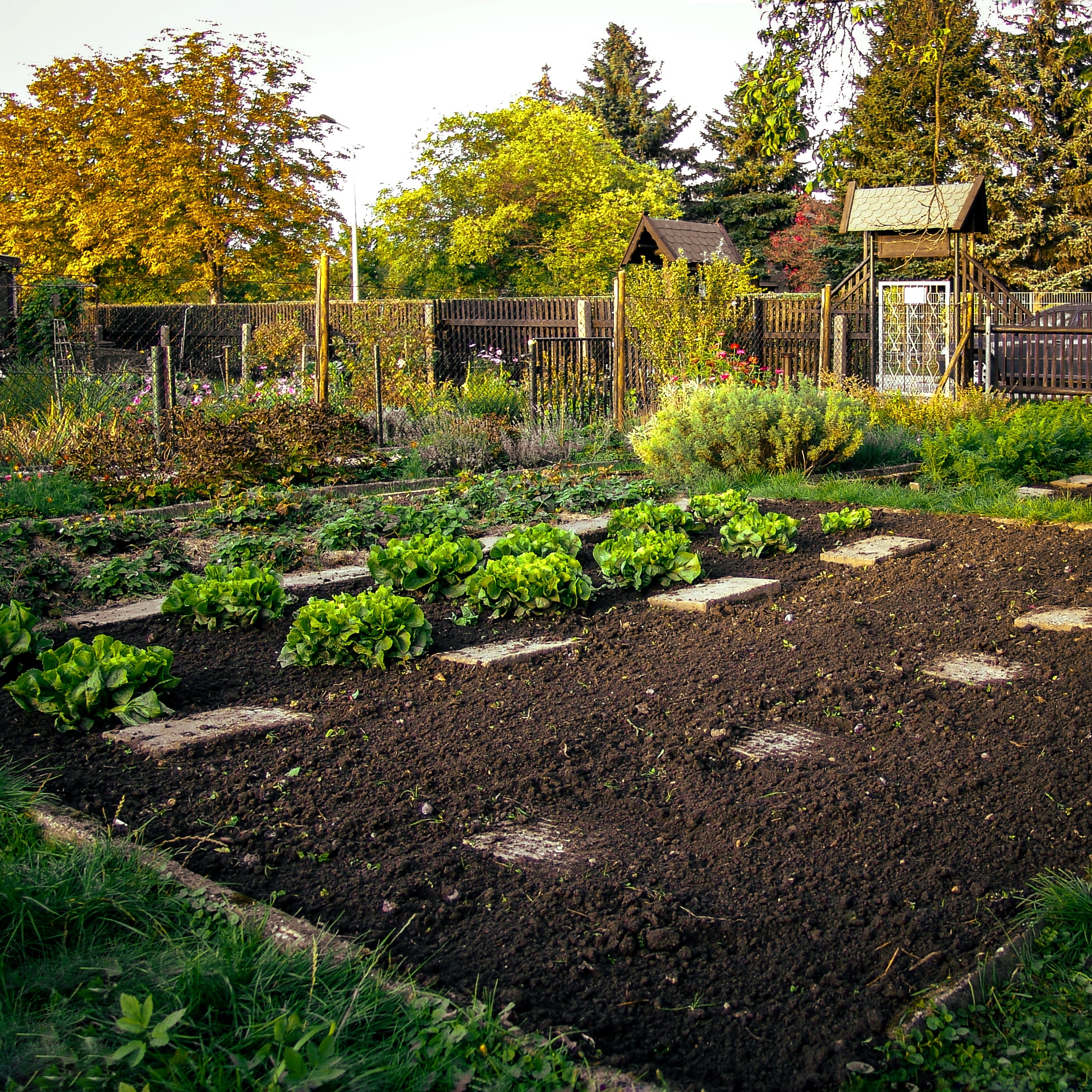 Read more about the article Herbstgarten
